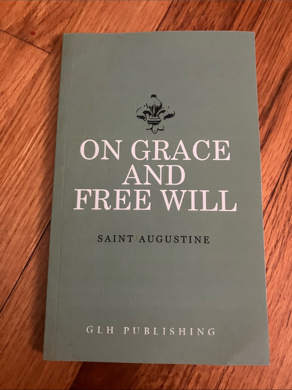 On Grace and Free Will by Saint Augustine - Sage Green Paperback